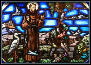 St. Francis in Garden